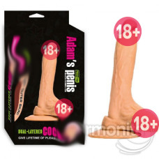 Adams Güçlü Vantuzlu  Realistik Penis